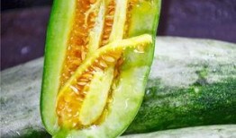 清香吃瓜视频大全,吃瓜视频大全精选回顾