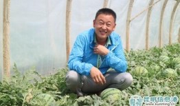 吃瓜清河,揭秘网络热点的背后故事