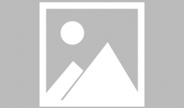 武汉张杰吃瓜,揭秘娱乐圈幕后风波