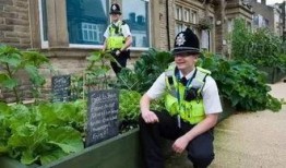 墓地吃瓜宁溪,吃瓜宁溪的神秘探险之旅