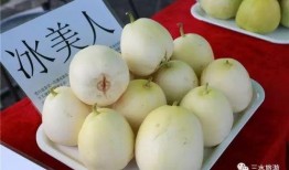 道具吃瓜梨,揭秘神秘道具背后的神奇力量