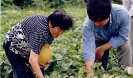 南京交院视频吃瓜,揭秘校园生活趣味瞬间