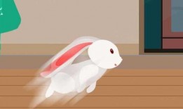 吃瓜兔无猜,揭秘娱乐圈背后的真实故事