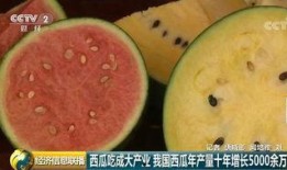 吃瓜群众在等大瓜,揭秘大瓜背后的故事