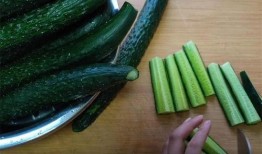 怎样吃半块瓜,健康生活新主张