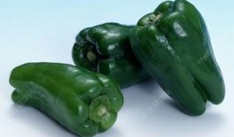 大瓜吃辣椒,辣椒美食盛宴