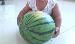 吃瓜小孩儿,揭秘吃瓜小孩儿的趣味世界