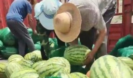 技校吃瓜群众,吃瓜群众揭秘校园生活点滴