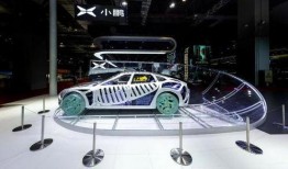 博兴特斯拉吃瓜,揭秘背后真相与争议