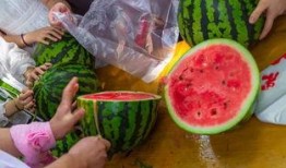 东城吃瓜视频,揭秘网络热传视频背后的真相与笑料