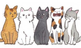 看图猜猫带你吃瓜,跟随“看图猜猫”探寻神秘瓜果世界