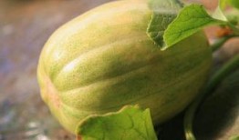 怎样吃半块瓜,健康生活新主张