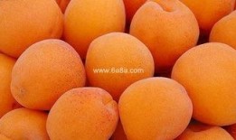 吃梨瓜吃的口腔溃疡,揭秘饮食与健康平衡之道