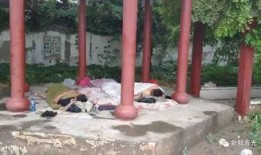 吃瓜群凉亭视频,揭秘网络热议背后的真相