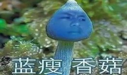 前排吃瓜意思,揭秘娱乐圈幕后真相