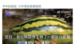 山东博主吃瓜,一网打尽网络热点事件