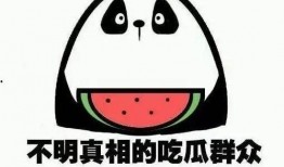 吃瓜了好吗,吃瓜群众的好奇心之旅