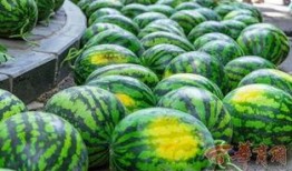 北方学院事件吃瓜,揭秘校园风波背后的真相与反思