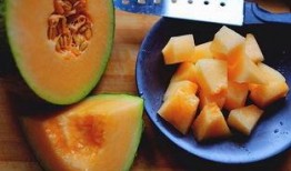 吃虾可以吃蜜瓜吗,美味搭配的饮食新主张