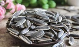 吃瓜嗑瓜子图,揭秘吃瓜嗑瓜子的趣味瞬间