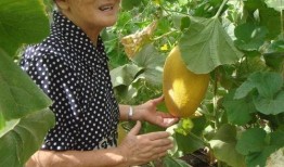 多方吃瓜,揭秘娱乐圈最新热点事件