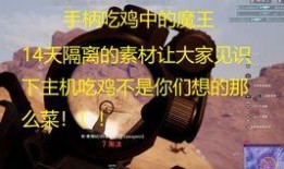 吃鸡呆瓜捏脸,呆瓜形象背后的趣味故事