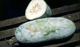 《吃瓜》中的冬瓜,清热解毒，养生佳品