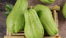 佛手瓜怎么做吃,家常烹饪新选择