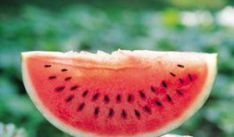 羊秤系吃瓜,揭秘娱乐圈的“瓜田”风云