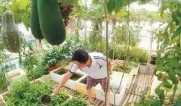 高二学生顶楼吃瓜