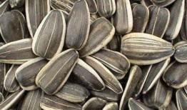 怀孕的人梦见吃瓜吐籽,瓜果飘香，吐籽寓意何在？