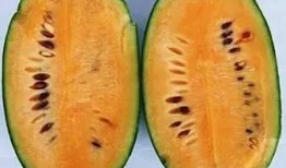 大奇吃瓜,揭秘娱乐圈幕后故事